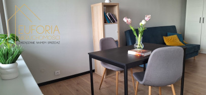 Mieszkanie Wynajem Łódź Łódź-Górna